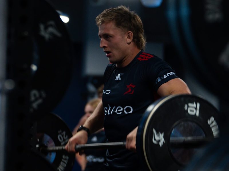Athlete training in the gym